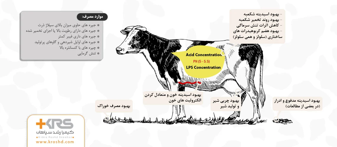 مکمل دامی بافری، مزایای استفاده از بافر در تغذیه گاوهای شیری