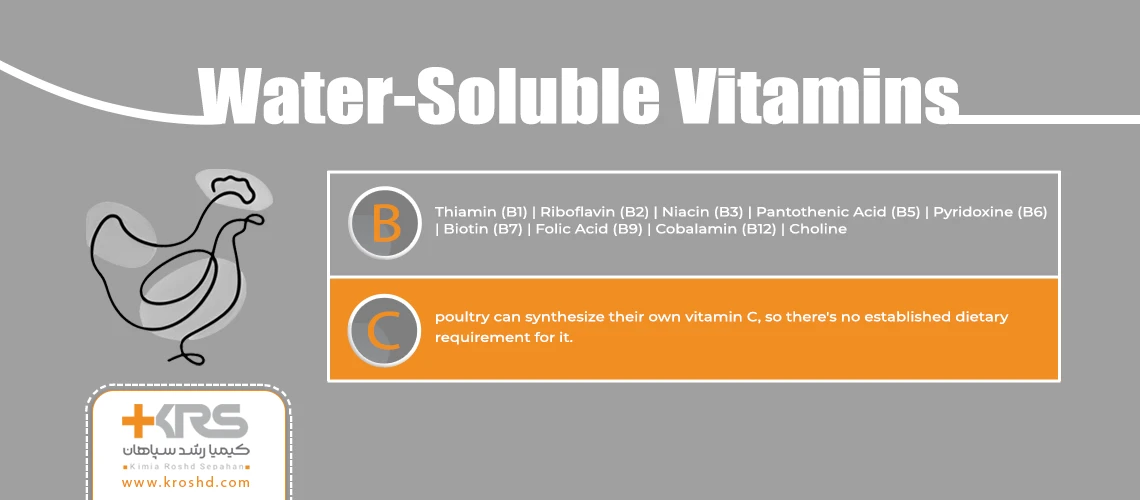 ویتامینه های محلول در آب (B, C) در تغذیه طیور